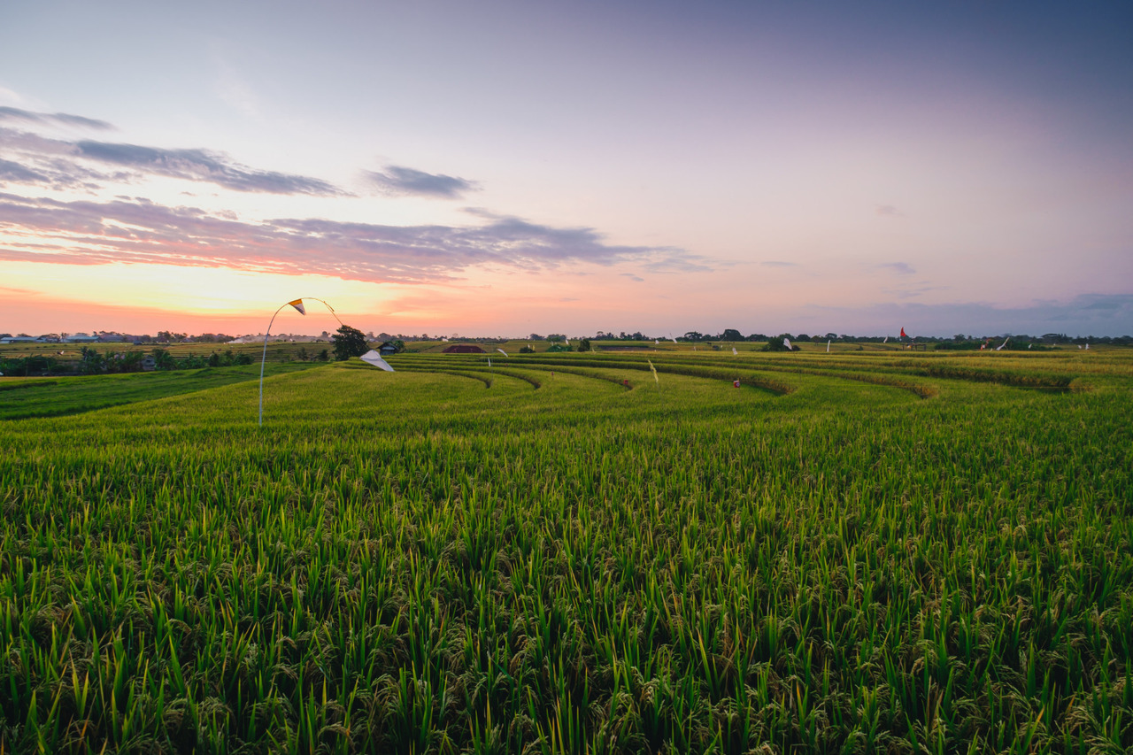 Kisaan Growth